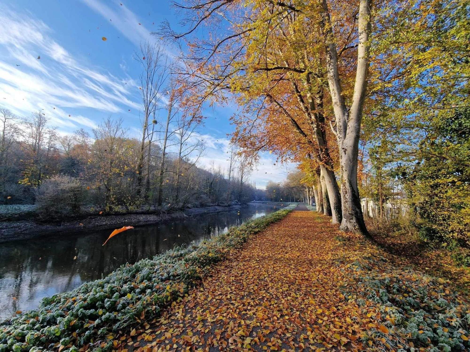 Gite Maisonnette- Et A Cote Coule Une Riviere Josselin Exterior foto